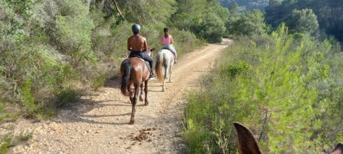 Mallorca: , Mallorcan Sunset, Horseback Riding, With Drinks - Refreshments and Memories