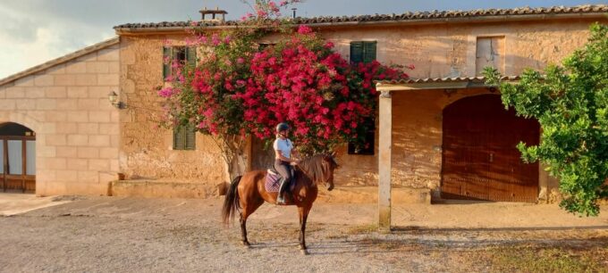 Mallorca: , Mallorcan Sunset, Horseback Riding, With Drinks - Customer Feedback