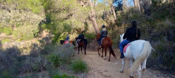 Mallorca: , Mallorcan Sunset, Horseback Riding, With Drinks - Frequently Asked Questions