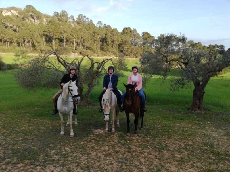 Mallorca: Mallorca`s Sunset & Spanish Riding School Show - Itinerary Details