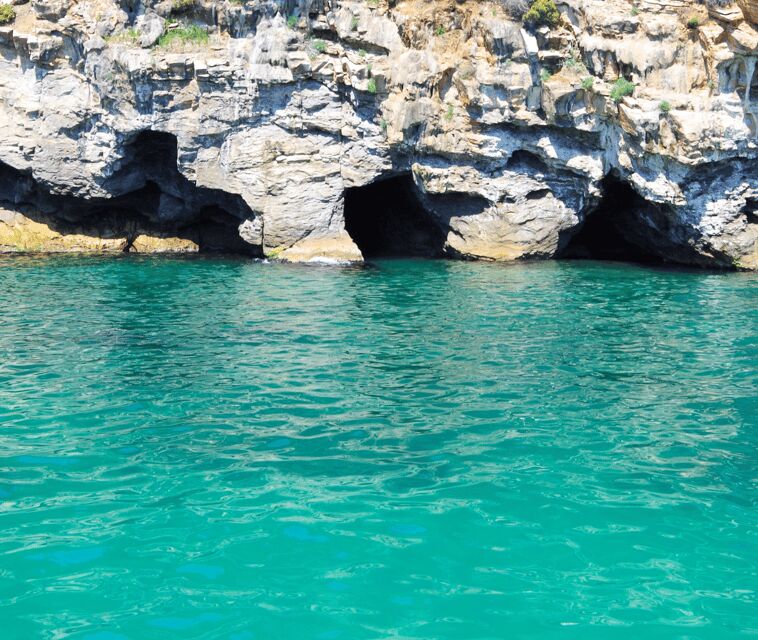 Mallorca Marine reserve: Visit caves, cliffs and snorkeling - The Overview: A Closer Look at the Mallorca Marine Reserve Experience