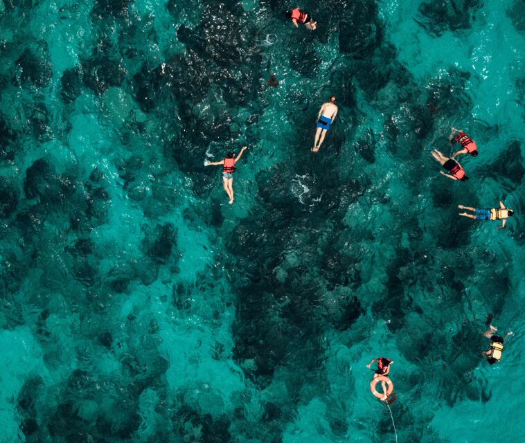 Mallorca Marine reserve: Visit caves, cliffs and snorkeling - The Experience on the Water