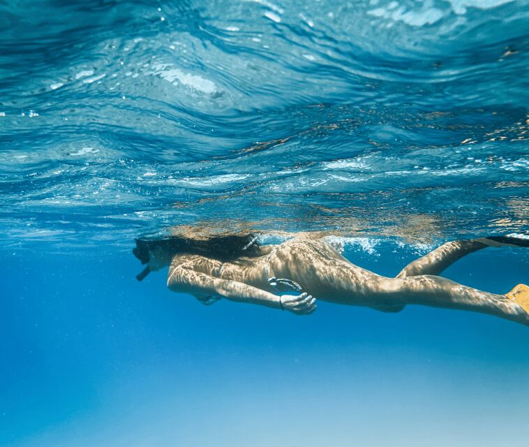 Mallorca Marine reserve: Visit caves, cliffs and snorkeling - Value for Money