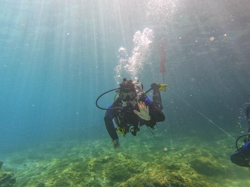 Mallorca: Private Beginner Scuba Dive With Photos and Video - Meeting Location and Transportation