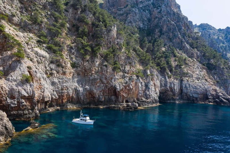 Mallorca: Private boat tour in Palma de Mallorca - The Boat and Crew: Comfort and Safety