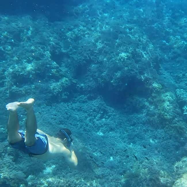 Mallorca: Private Boat Tour with Snorkeling & Snacks - Who Should Consider This Tour?