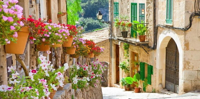 Mallorca: Puerto de Sóller and Valldemossa Morning Trip - Final Thoughts on the Experience