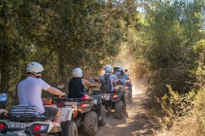 Mallorca: Quad Bike Tour - Participant Feedback