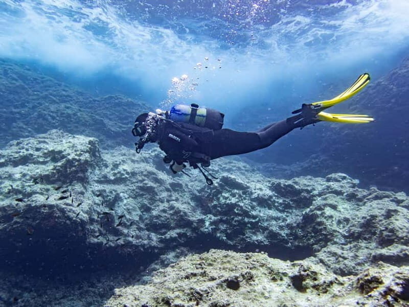 Mallorca: Scuba Dive Adventure Cap de Formentor - 2 dive sites - What Makes This Tour Stand Out