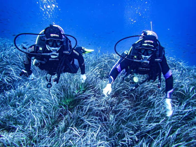 Mallorca: Scuba Dive Adventure Cap de Formentor - 2 dive sites - The Authentic Experience