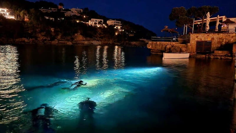 Mallorca: Scuba Diving for Beginners - Key Points