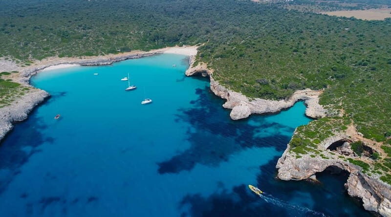 Mallorca: Snorkeling in the Natural Park by Boat - Pricing and Value