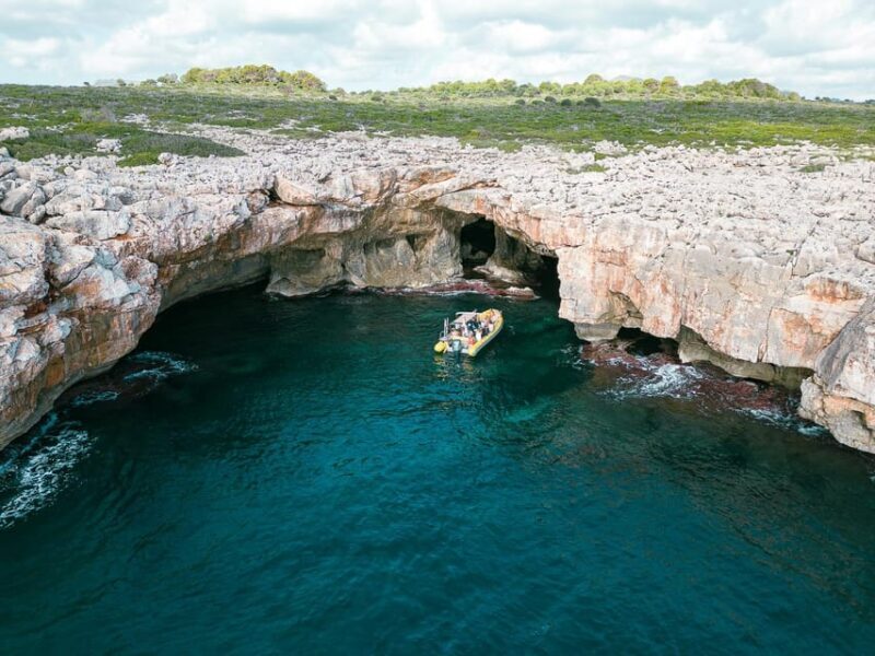 Mallorca: Snorkeling in the Natural Park by Boat - Final Thoughts