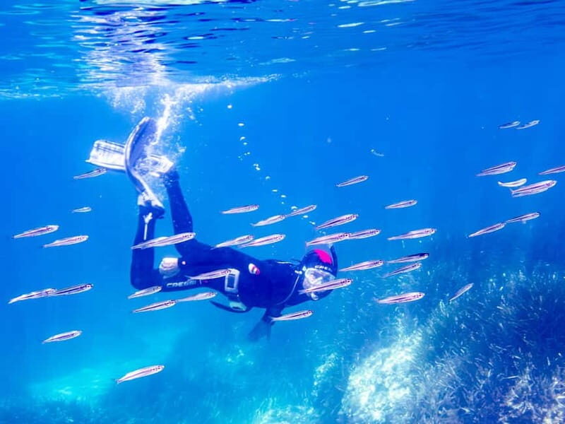 Mallorca: Snorkeling tour with instructor from a boat in a hidden bay - What’s Included and What’s Not