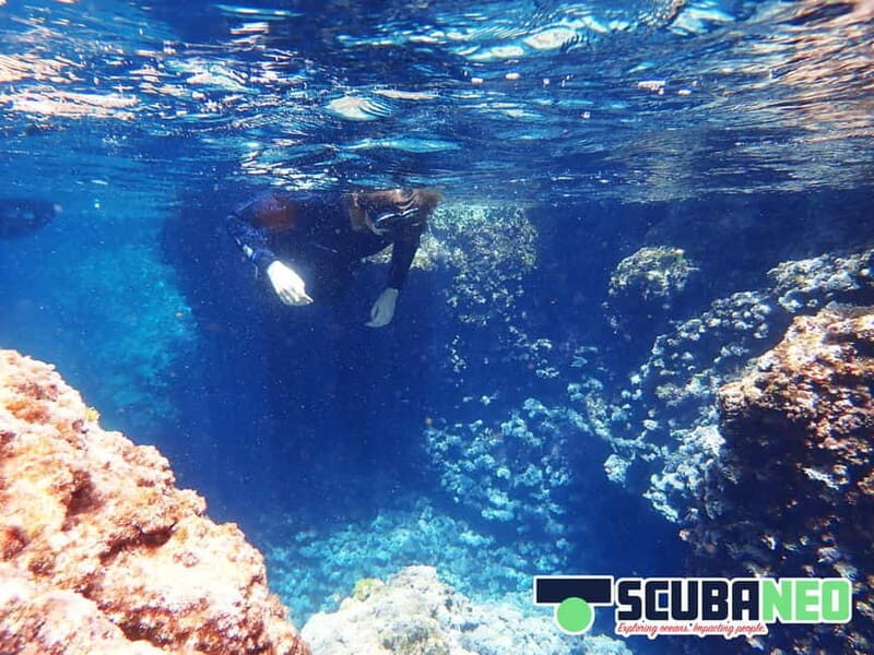 Mallorca: Snorkeling tour with instructor from a boat in a hidden bay - The Reviews Speak