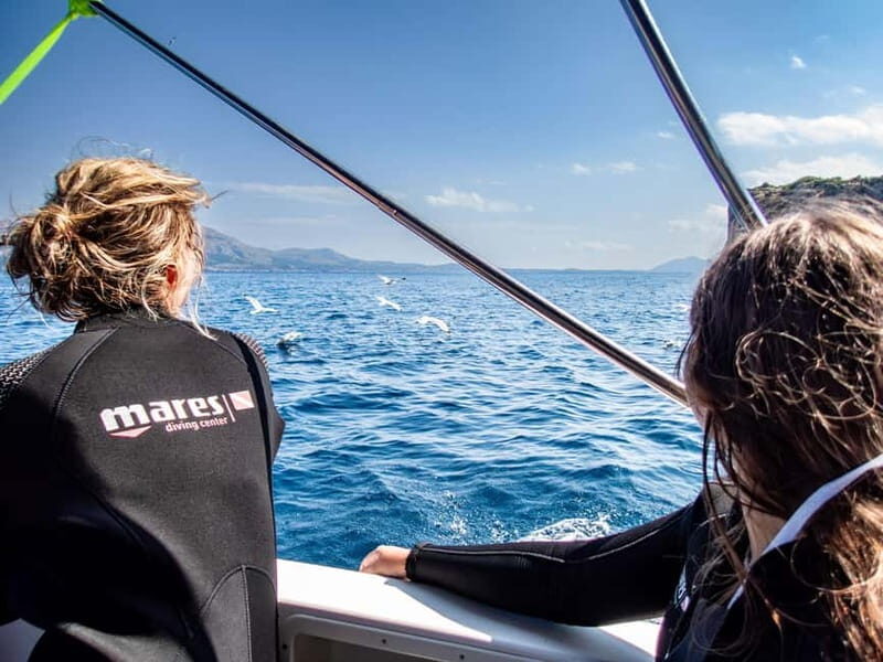 Mallorca: Snorkeling tour with instructor from a boat in a hidden bay - How This Tour Fits Into Your Mallorca Itinerary