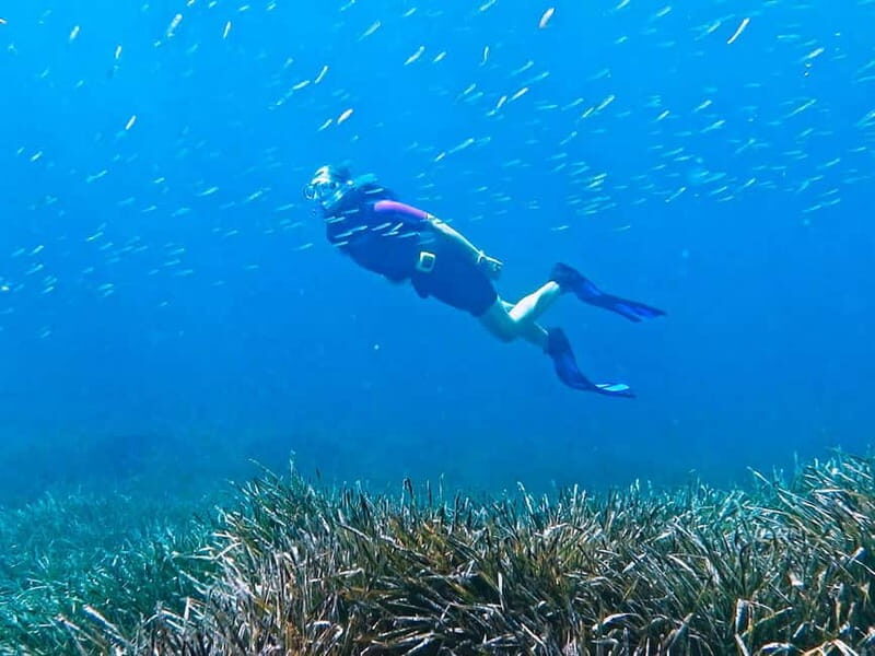 Mallorca: Snorkeling tour with instructor from a boat in a hidden bay - Final Thoughts: Is This Tour Right for You?