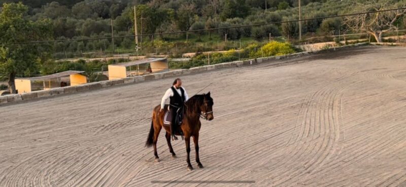 Mallorca: Sunset & Spanish Riding School Show - Equestrian Experience