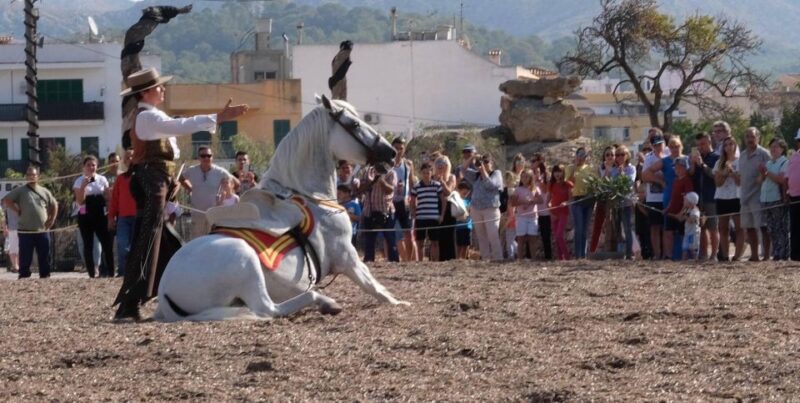 Mallorca: Sunset & Spanish Riding School Show - Horse Ride Through Randa Valley