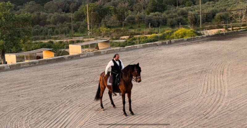 Mallorca: Sunset & Spanish Riding School Show - Falconry Demonstration