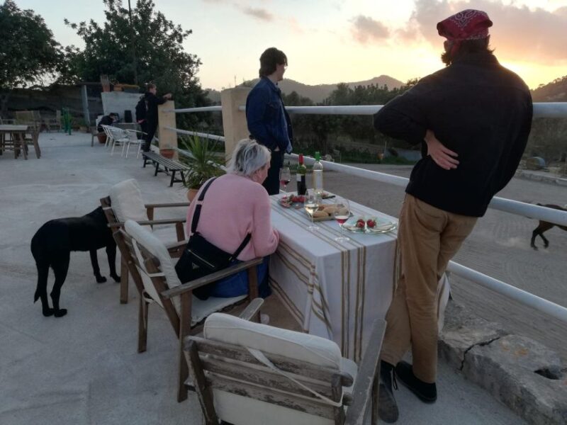 Mallorca: Sunset & Spanish Riding School Show - Refreshments and Relaxation