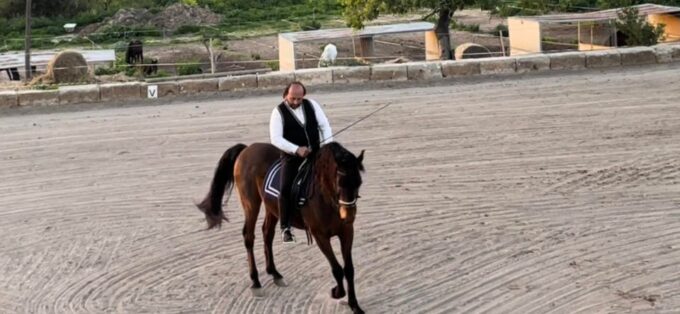 Mallorca: Sunset & Spanish Riding School Show - Customer Feedback