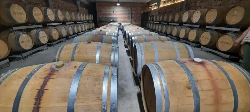 Mallorca: Sunset Wine Tasting Minibus Bodega Tour - Practical Tips for Tour Participants