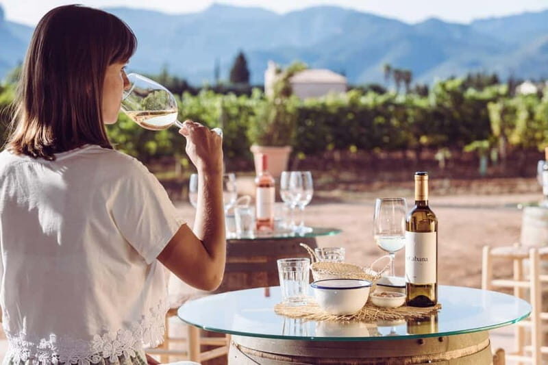 Mallorca: Sunset Wine Tasting Minibus Bodega Tour - Analyzing the Value