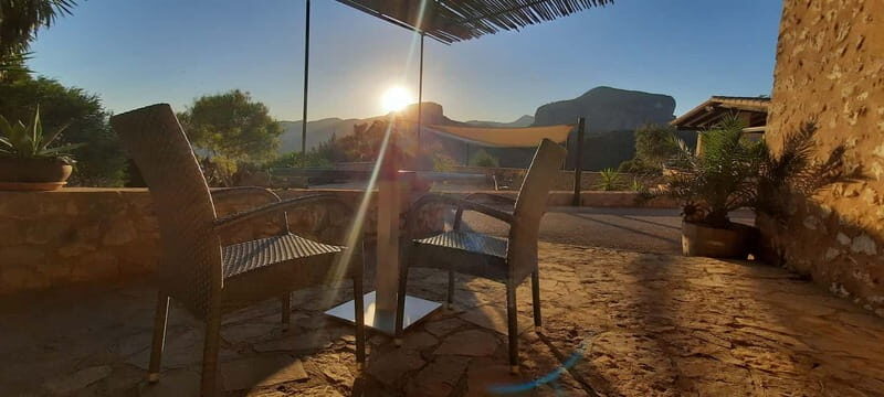 Mallorca: Sunset Wine Tasting Minibus Bodega Tour - Who Should Book This Tour?