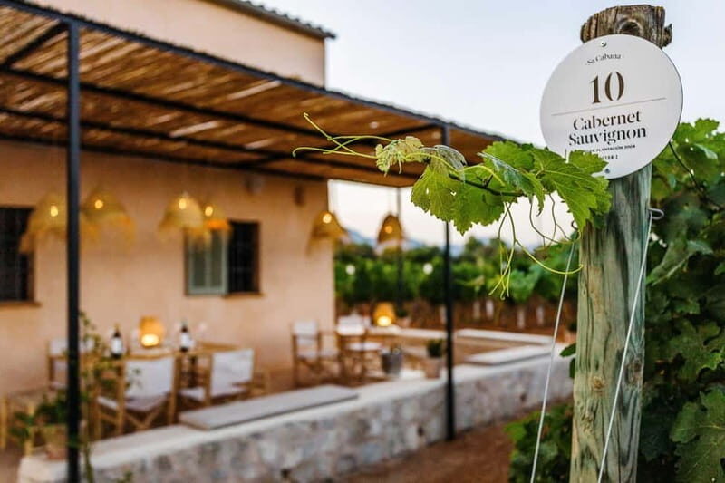 Mallorca: Sunset Wine Tasting Minibus Bodega Tour - The Sum Up