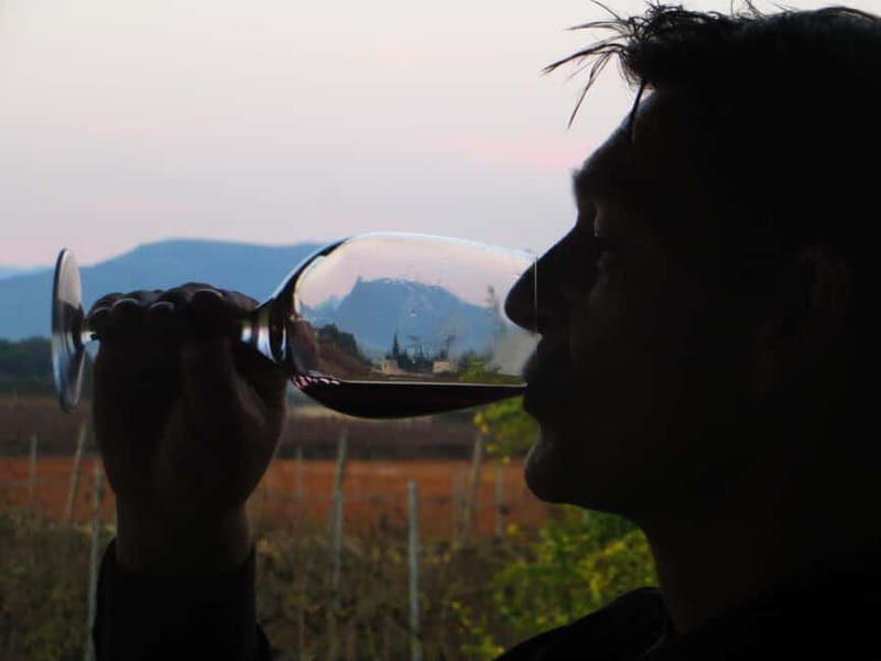 Mallorca: Sunset Wine Tasting Minibus Bodega Tour - FAQ