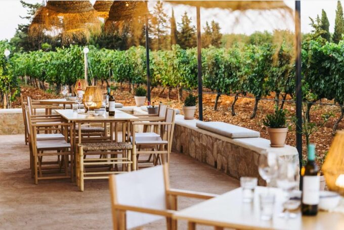 Mallorca: Sunset Wine Tasting Minibus Tour - ENGLISH GUIDE - Frequently Asked Questions