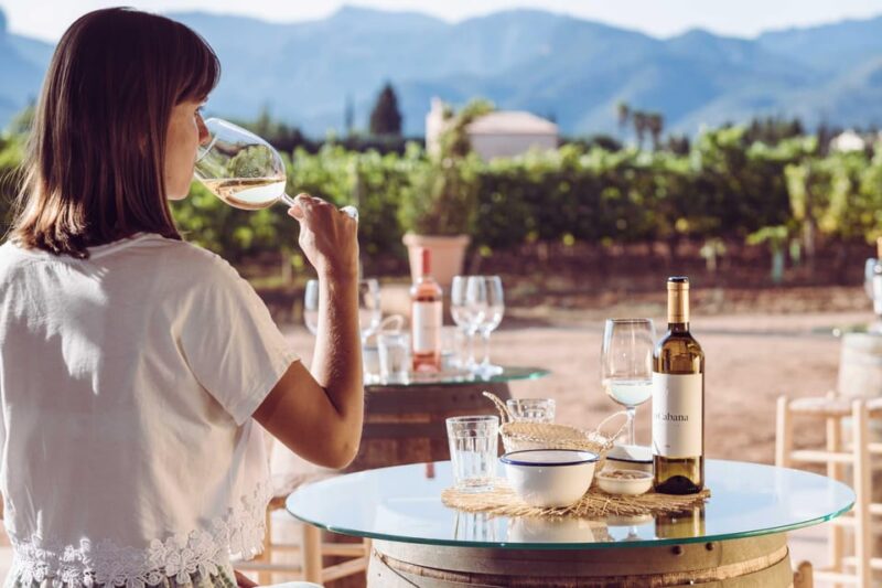 Mallorca: Sunset Wine Tasting Minibus Tour - GERMAN GUIDE - Experience Highlights