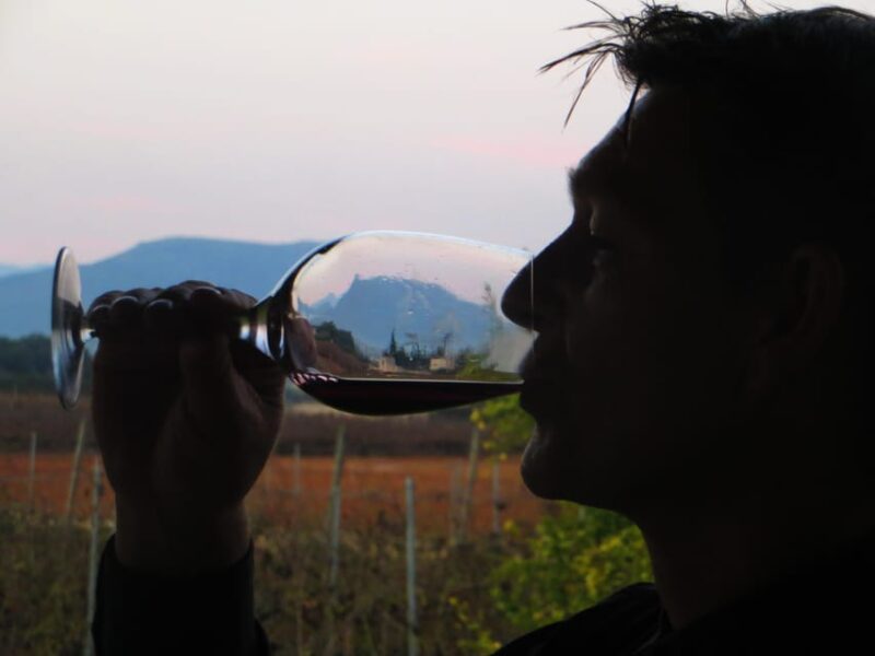 Mallorca: Sunset Wine Tasting Minibus Tour - GERMAN GUIDE - Included Features