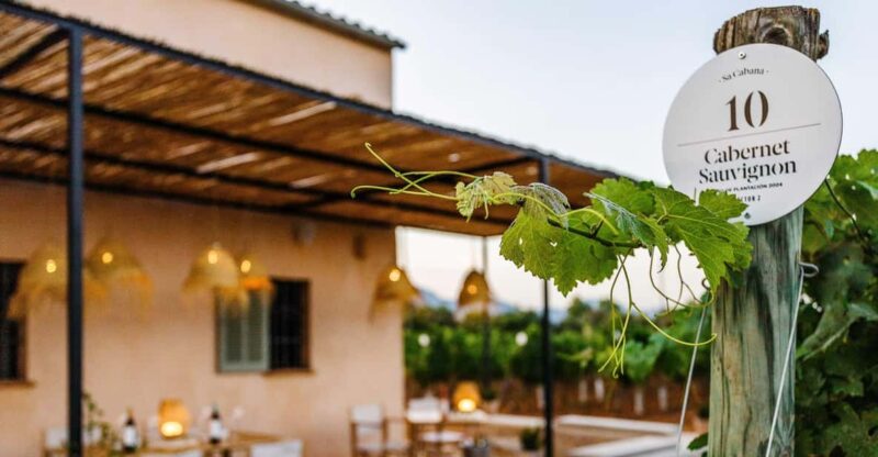 Mallorca: Sunset Wine Tasting Minibus Tour - GERMAN GUIDE - Important Information