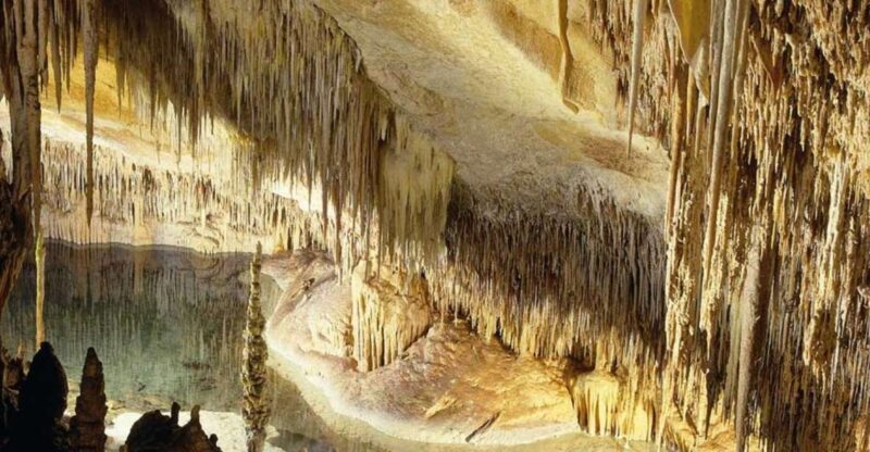 Mallorca: Ticket for Caves of Drach With Pickup Service - Tour Highlights