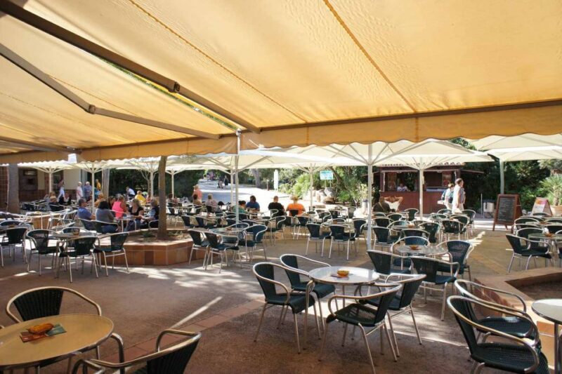 Mallorca: Ticket for Caves of Drach With Pickup Service - Customer Reviews and Ratings