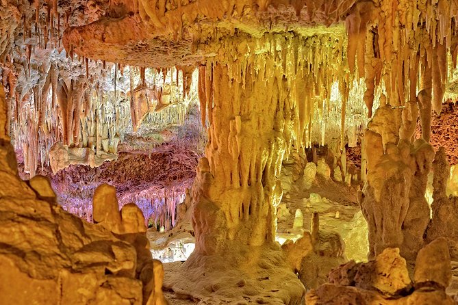 Mallorca Tour: Hams Caves and Pearl Shop With Hotel Pick up - Traveler Experiences