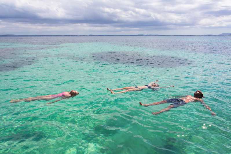 Mallorca: Traditional Llaüt Tour With Local Food - Booking and Availability