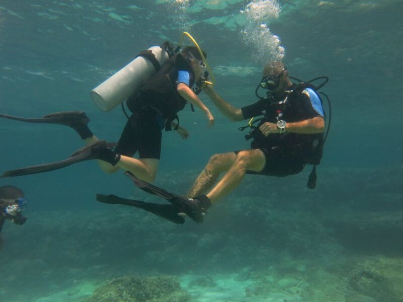 Mallorca: Try Out Scuba Diving in a Marine Nature Reserve - Important Considerations