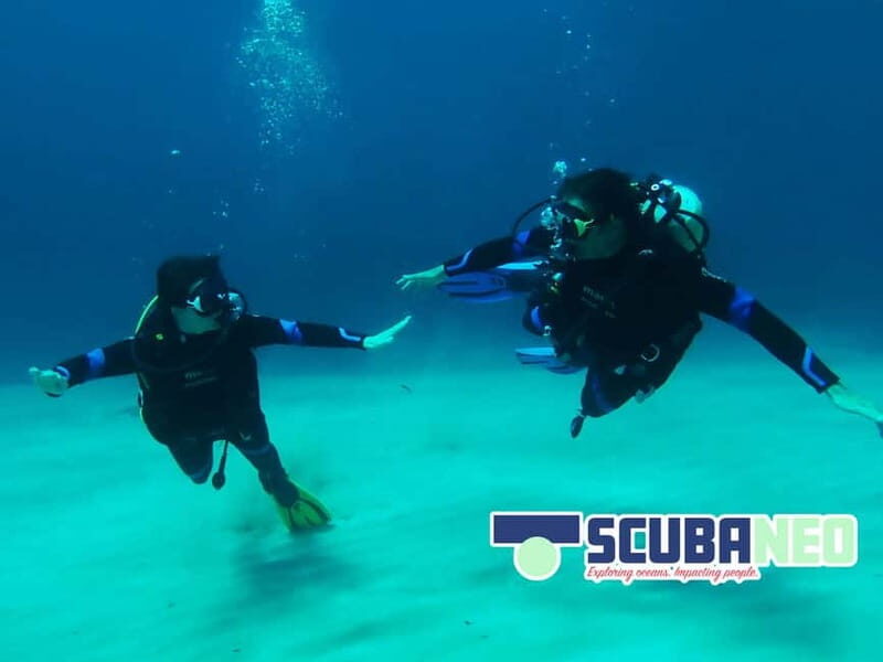 Mallorca: Try Scuba - try diving from a boat with an SSI instructor - What Makes This Experience Stand Out?
