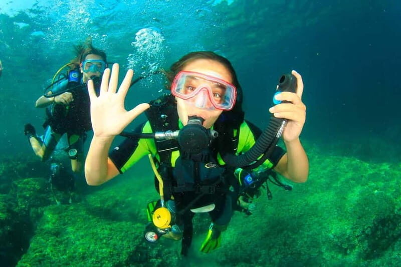 Mallorca: Try Scuba - try diving from a boat with an SSI instructor - Itinerary Breakdown