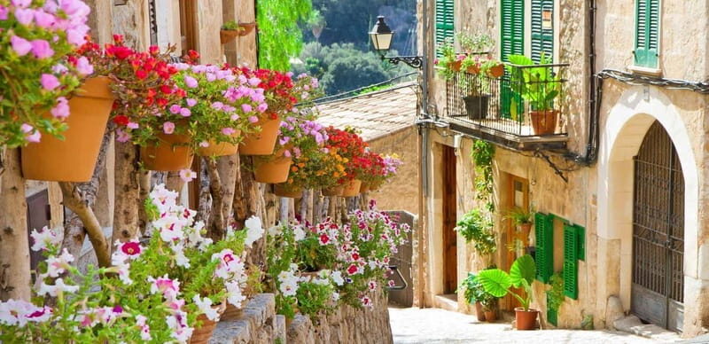 Mallorca: Valldemossa and Wine Tasting - Ultra Small group - Exploring Mallorca’s Wine Heritage