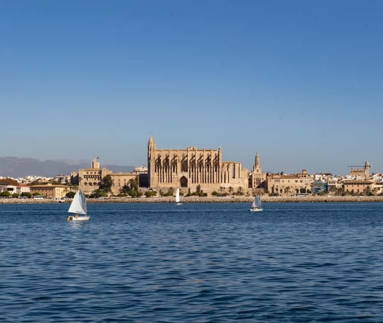 Mallorca: Visit Palma Speedboat adrenaline & snorkelling - What Travelers Say