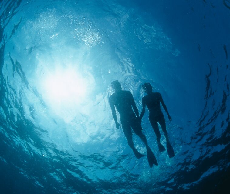 Mallorca: Visit Palma Speedboat adrenaline & snorkelling - Is It Worth the Price?