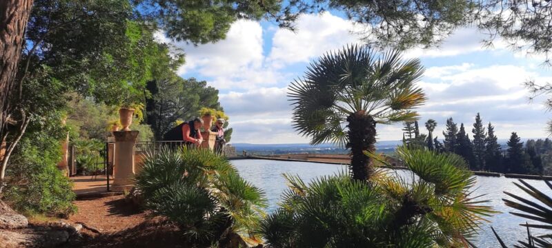 Mallorca: West Coast & Orange Valley Minibus Tour GERMAN GUIDE - Scenic Drives and Photo Stops