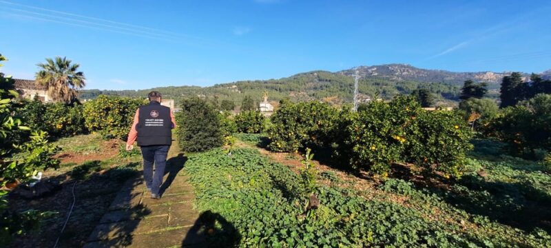 Mallorca: West Coast & Orange Valley Minibus Tour GERMAN GUIDE - Sóller Experiences