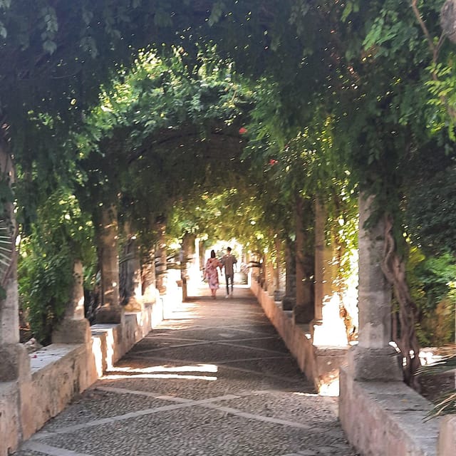 Mallorca: West Coast & Orange Valley Minibus Tour GERMAN GUIDE - Frequently Asked Questions
