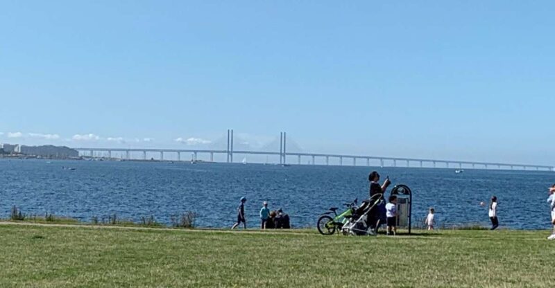 Malmö: 3-Hour Guided Walking Tour - Highlights of the Tour