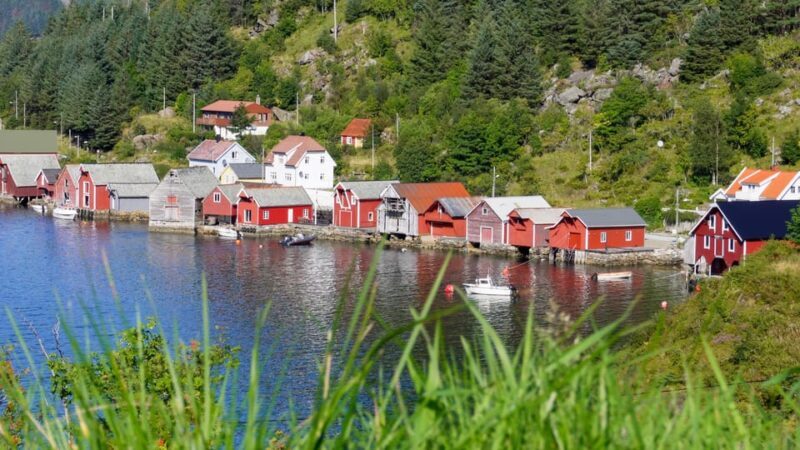 Måløy: Kannesteinen and Colorful Village Tour - The Sum Up